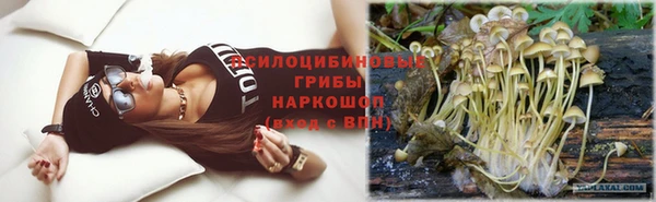 герыч Алексин
